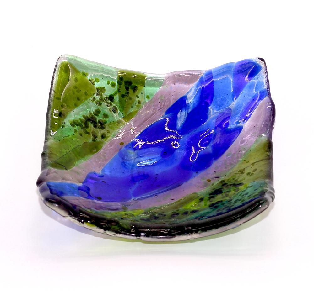 MULTI-COLOURED SEGMENTED DISH V DIS119