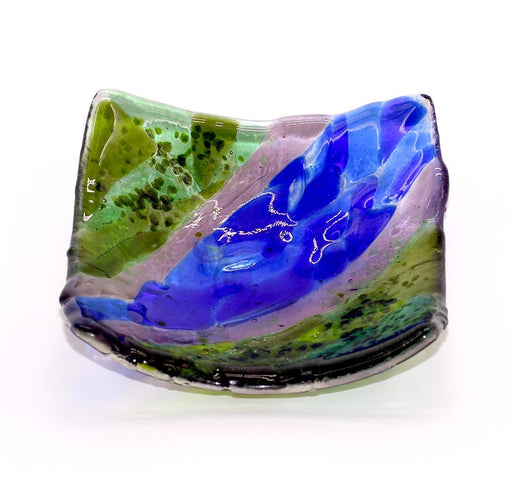 MULTI-COLOURED SEGMENTED DISH V DIS119