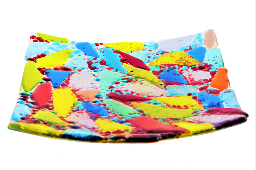 MULTI-COLOURED SEGMENTED DISH PLM110