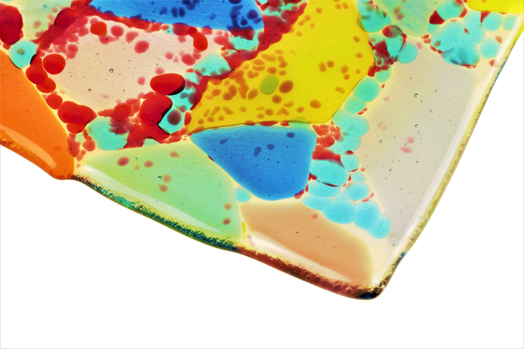 MULTI-COLOURED SEGMENTED DISH PLM110