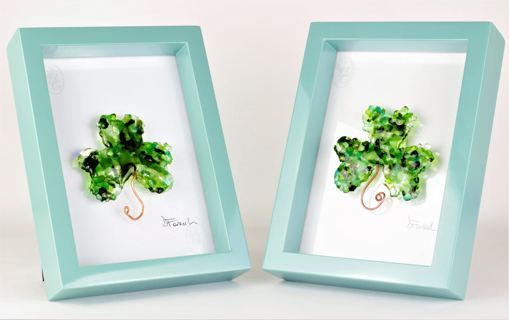SHAMROCK IN FRAME