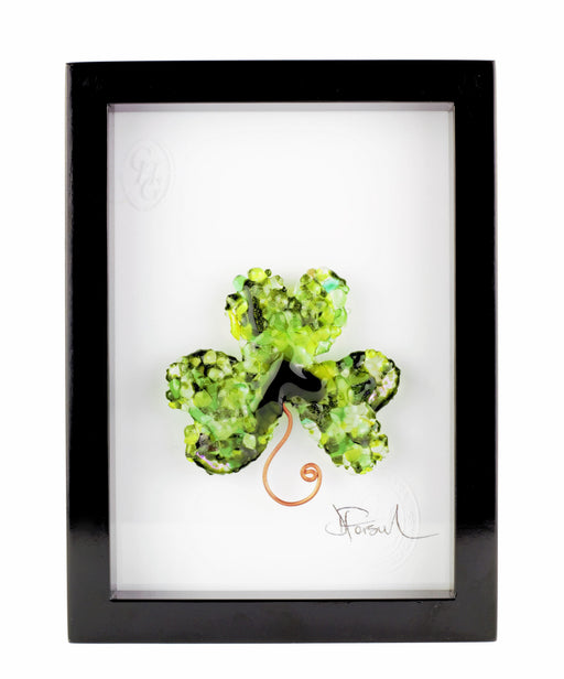 SHAMROCK IN FRAME