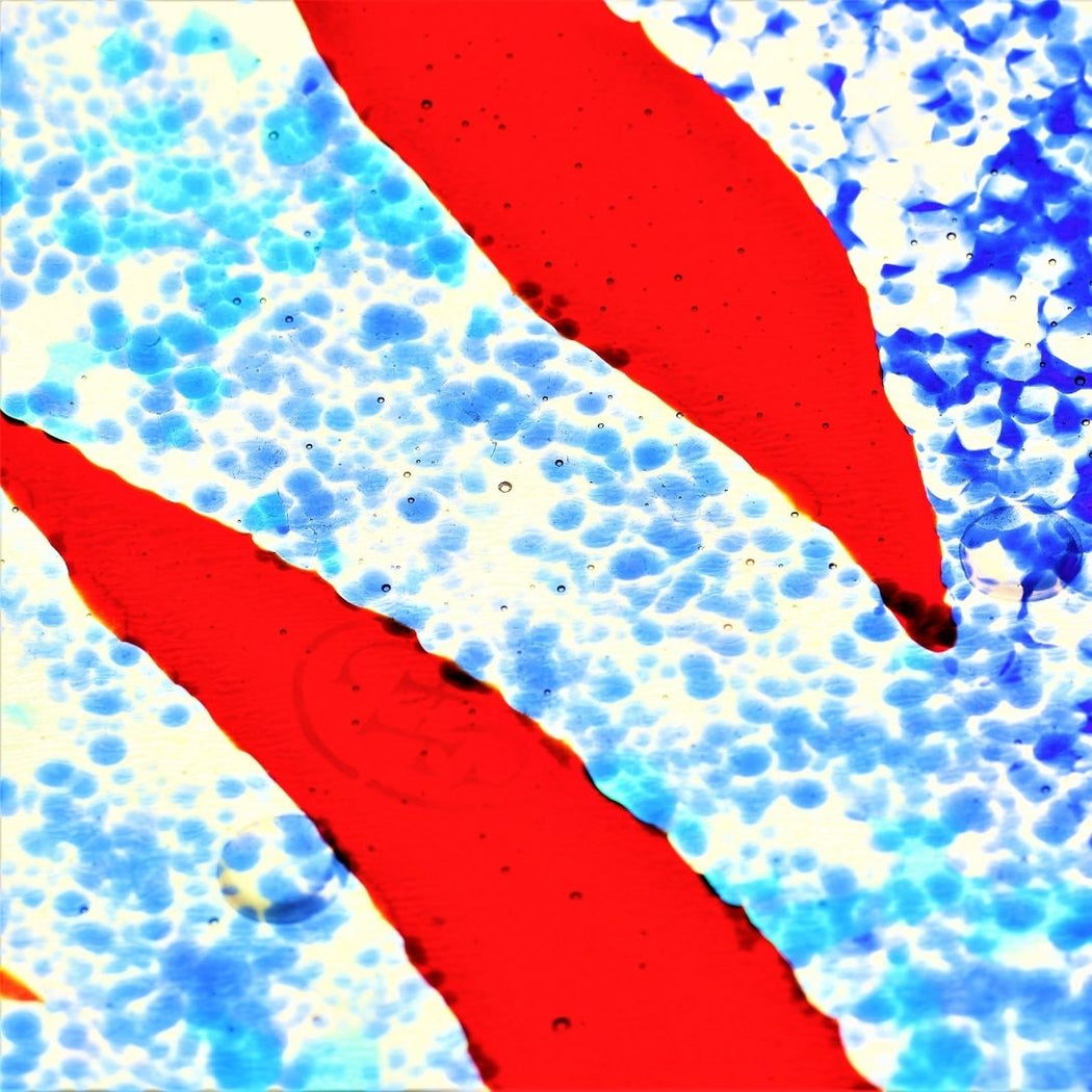 Woodland ‘Red Leaf’ Platter in Blue